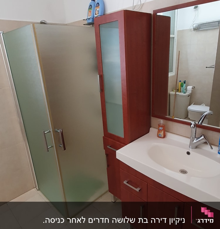 בקבוקי חומרי ניקוי על מדף בחדר אמבטיה